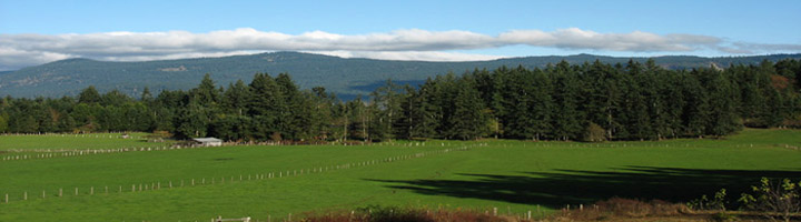 Valley Meadows Vacation Home Vancouver Island